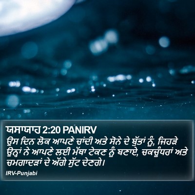 ਯਸਾਯਾਹ 2:20 PANIRV Bible Verse Image