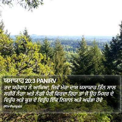 ਯਸਾਯਾਹ 20:3 PANIRV Bible Verse Image