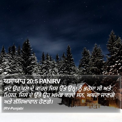 ਯਸਾਯਾਹ 20:5 PANIRV Bible Verse Image