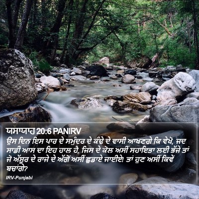 ਯਸਾਯਾਹ 20:6 PANIRV Bible Verse Image