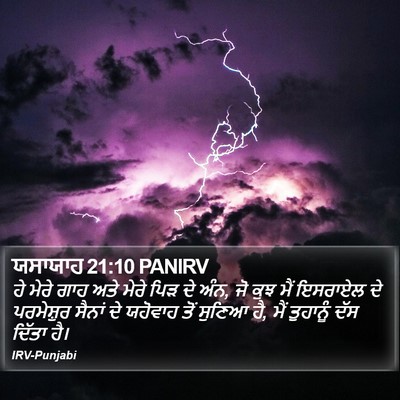 ਯਸਾਯਾਹ 21:10 PANIRV Bible Verse Image