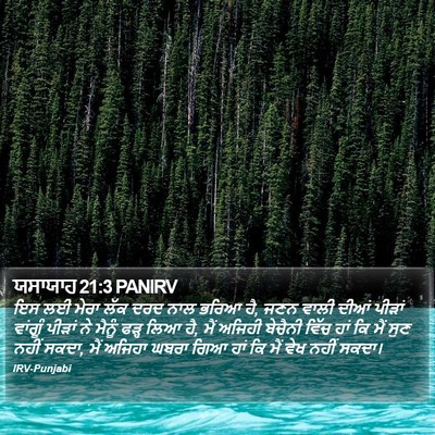 ਯਸਾਯਾਹ 21:3 PANIRV Bible Verse Image