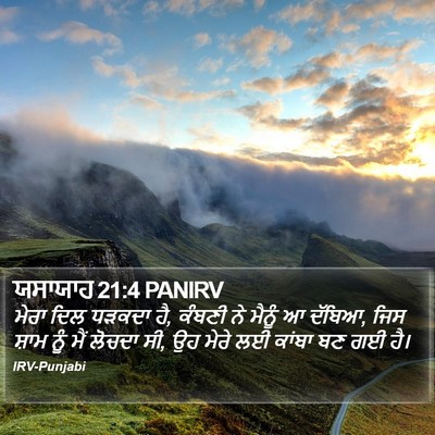 ਯਸਾਯਾਹ 21:4 PANIRV Bible Verse Image