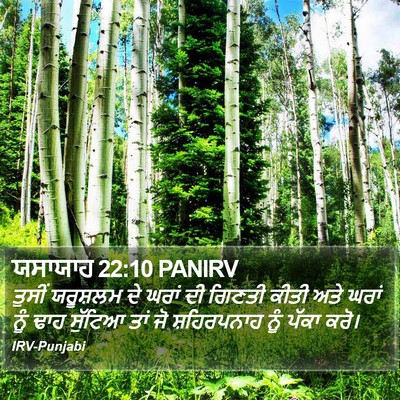 ਯਸਾਯਾਹ 22:10 PANIRV Bible Verse Image