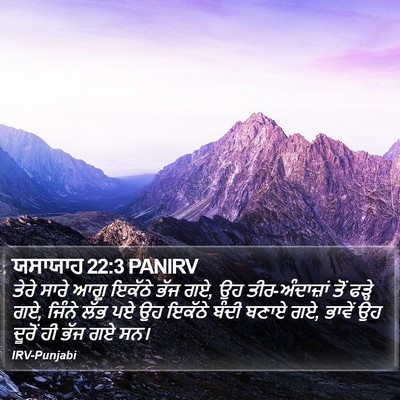 ਯਸਾਯਾਹ 22:3 PANIRV Bible Verse Image