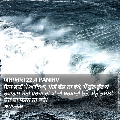 ਯਸਾਯਾਹ 22:4 PANIRV Bible Verse Image