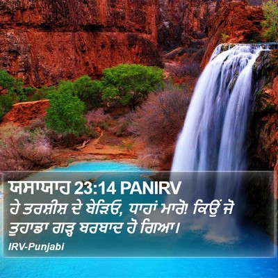 ਯਸਾਯਾਹ 23:14 PANIRV Bible Verse Image