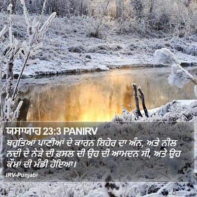ਯਸਾਯਾਹ 23:3 PANIRV Bible Verse Image