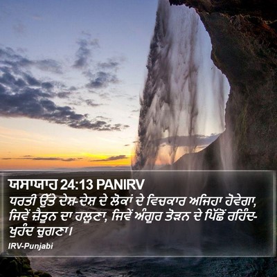 ਯਸਾਯਾਹ 24:13 PANIRV Bible Verse Image