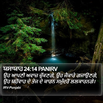 ਯਸਾਯਾਹ 24:14 PANIRV Bible Verse Image