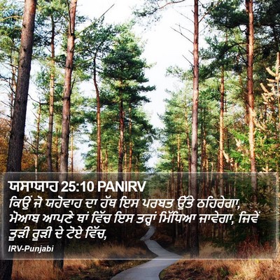 ਯਸਾਯਾਹ 25:10 PANIRV Bible Verse Image