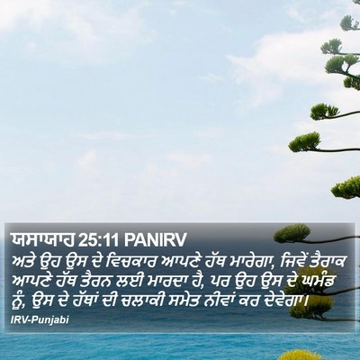 ਯਸਾਯਾਹ 25:11 PANIRV Bible Verse Image