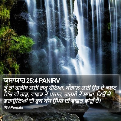 ਯਸਾਯਾਹ 25:4 PANIRV Bible Verse Image