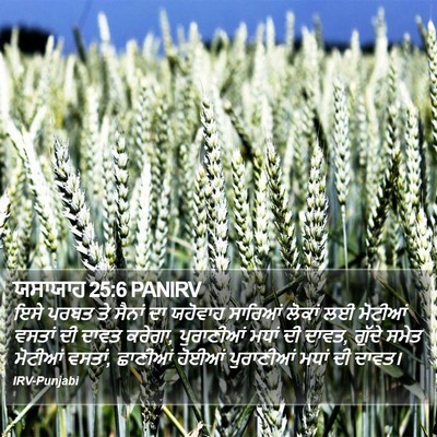 ਯਸਾਯਾਹ 25:6 PANIRV Bible Verse Image