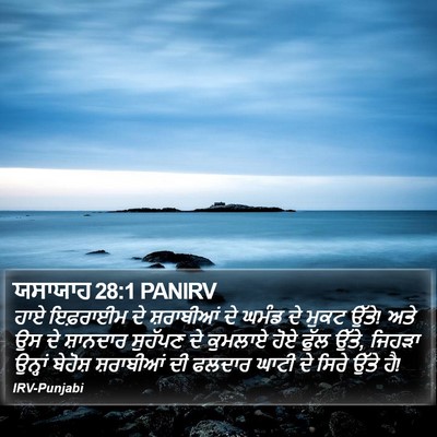 ਯਸਾਯਾਹ 28:1 PANIRV Bible Verse Image