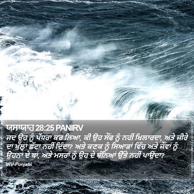 ਯਸਾਯਾਹ 28:25 PANIRV Bible Verse Image