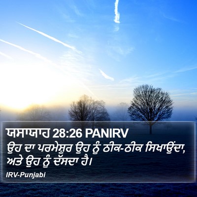 ਯਸਾਯਾਹ 28:26 PANIRV Bible Verse Image