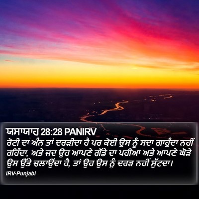 ਯਸਾਯਾਹ 28:28 PANIRV Bible Verse Image