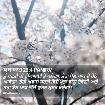 ਯਸਾਯਾਹ 29:4 PANIRV Bible Verse Image