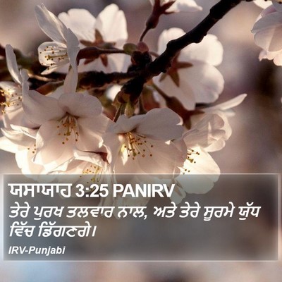 ਯਸਾਯਾਹ 3:25 PANIRV Bible Verse Image
