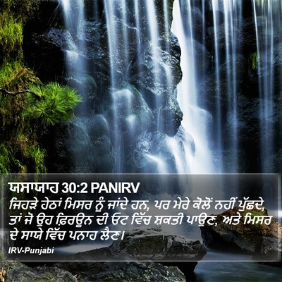 ਯਸਾਯਾਹ 30:2 PANIRV Bible Verse Image