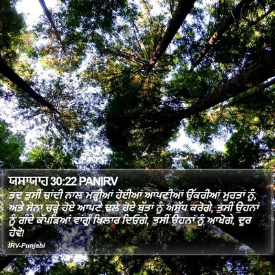 ਯਸਾਯਾਹ 30:22 PANIRV Bible Verse Image