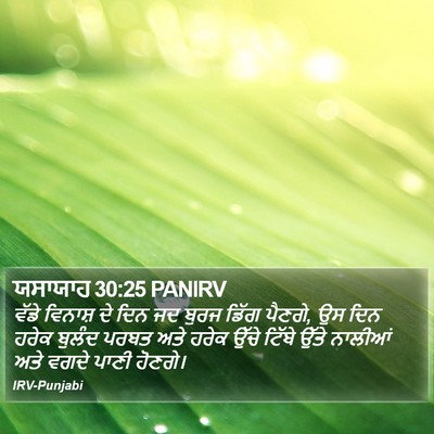 ਯਸਾਯਾਹ 30:25 PANIRV Bible Verse Image