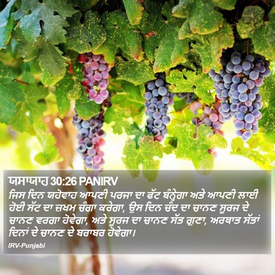 ਯਸਾਯਾਹ 30:26 PANIRV Bible Verse Image