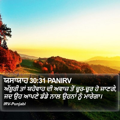 ਯਸਾਯਾਹ 30:31 PANIRV Bible Verse Image