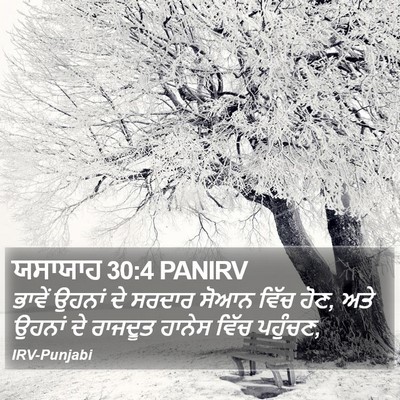 ਯਸਾਯਾਹ 30:4 PANIRV Bible Verse Image