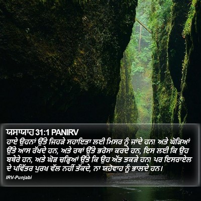 ਯਸਾਯਾਹ 31:1 PANIRV Bible Verse Image