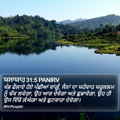 ਯਸਾਯਾਹ 31:5 PANIRV Bible Verse Image