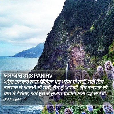 ਯਸਾਯਾਹ 31:8 PANIRV Bible Verse Image