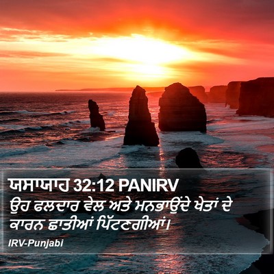 ਯਸਾਯਾਹ 32:12 PANIRV Bible Verse Image