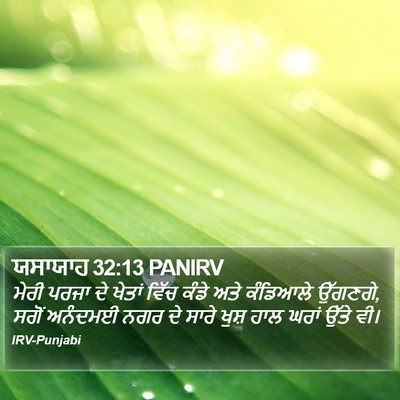 ਯਸਾਯਾਹ 32:13 PANIRV Bible Verse Image