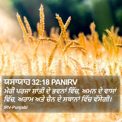 ਯਸਾਯਾਹ 32:18 PANIRV Bible Verse Image
