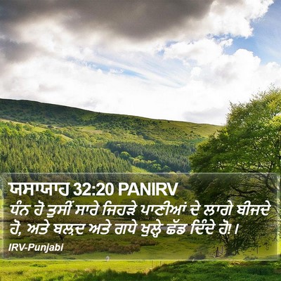 ਯਸਾਯਾਹ 32:20 PANIRV Bible Verse Image