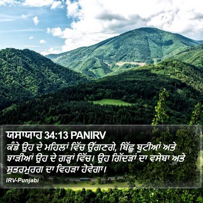ਯਸਾਯਾਹ 34:13 PANIRV Bible Verse Image