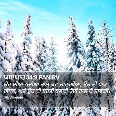 ਯਸਾਯਾਹ 34:9 PANIRV Bible Verse Image