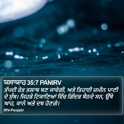 ਯਸਾਯਾਹ 35:7 PANIRV Bible Verse Image