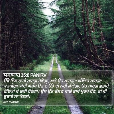 ਯਸਾਯਾਹ 35:8 PANIRV Bible Verse Image