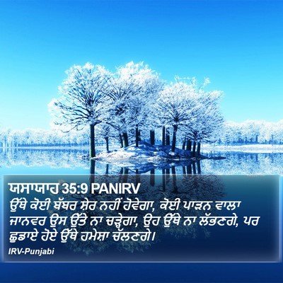 ਯਸਾਯਾਹ 35:9 PANIRV Bible Verse Image