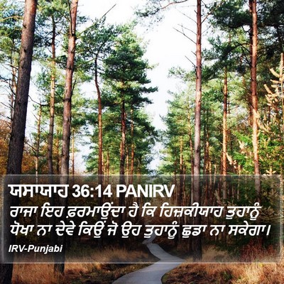 ਯਸਾਯਾਹ 36:14 PANIRV Bible Verse Image