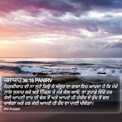 ਯਸਾਯਾਹ 36:16 PANIRV Bible Verse Image