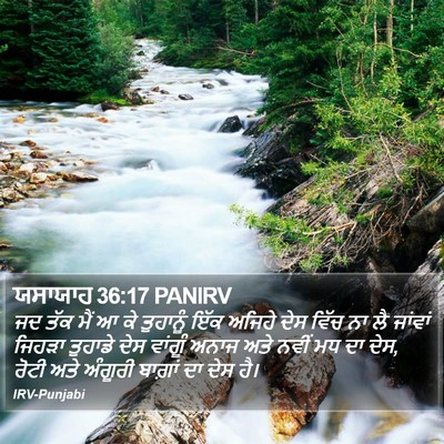 ਯਸਾਯਾਹ 36:17 PANIRV Bible Verse Image
