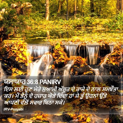 ਯਸਾਯਾਹ 36:8 PANIRV Bible Verse Image