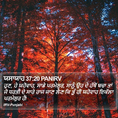 ਯਸਾਯਾਹ 37:20 PANIRV Bible Verse Image