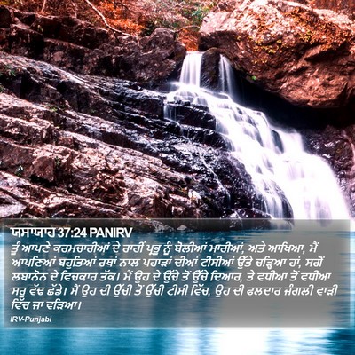 ਯਸਾਯਾਹ 37:24 PANIRV Bible Verse Image