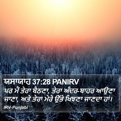 ਯਸਾਯਾਹ 37:28 PANIRV Bible Verse Image