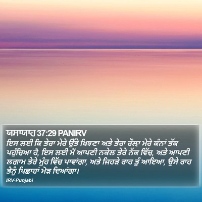 ਯਸਾਯਾਹ 37:29 PANIRV Bible Verse Image